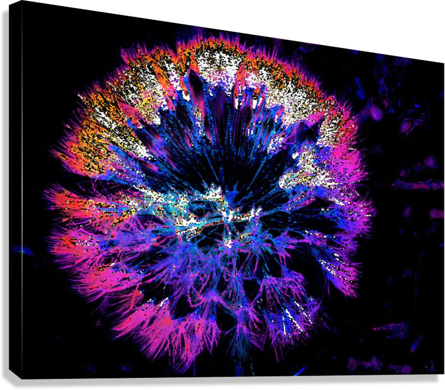 Abstract Neon Dandelion Head Canvas Print