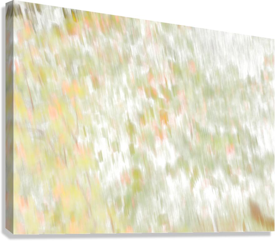 Abstract Hues Canvas Print