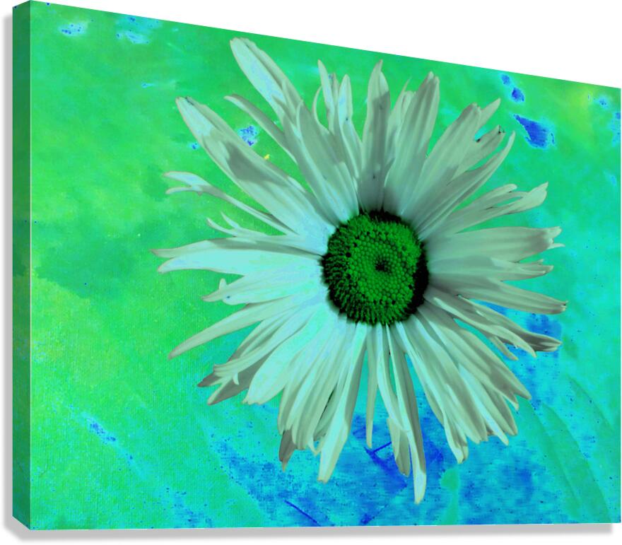 Abstract Surreal Green Daisy Canvas Print