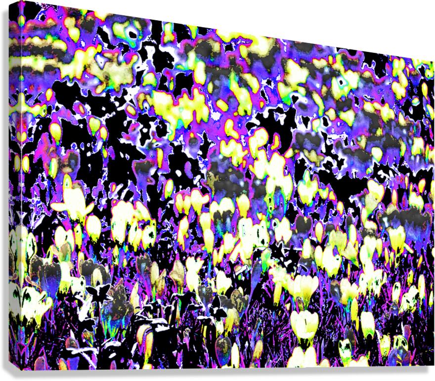 Abstract Crocus Dance                                                                                                 Canvas Print