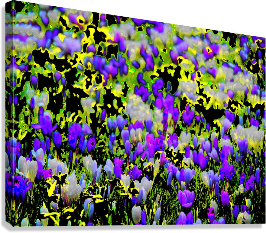   Abstract Vibrant Crocuses                                                    Canvas Print