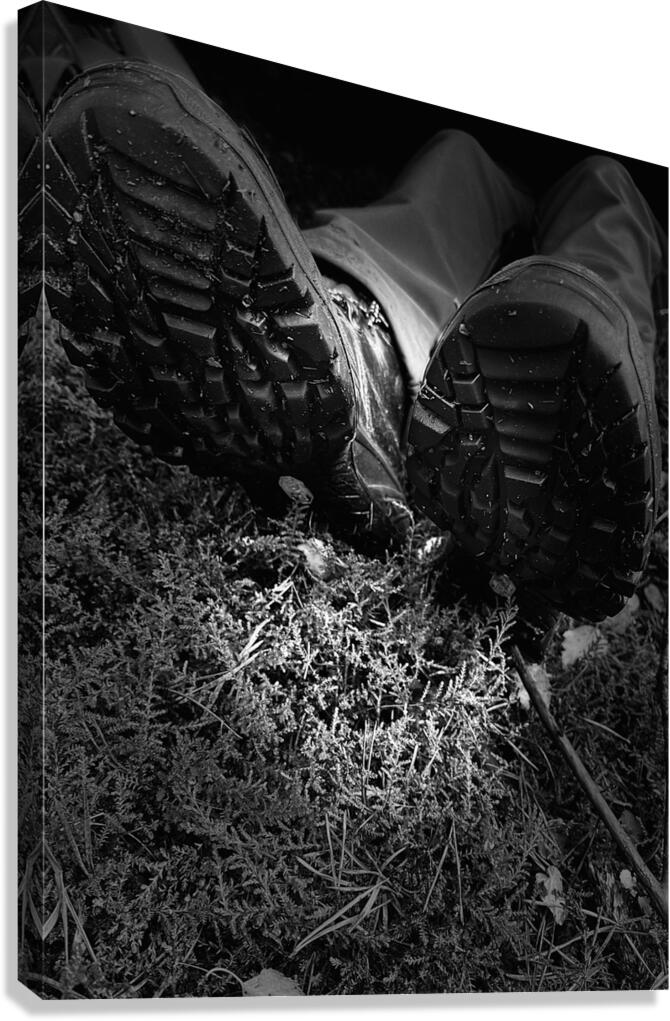 Scenes from the Trail- Resting  Canvas Print