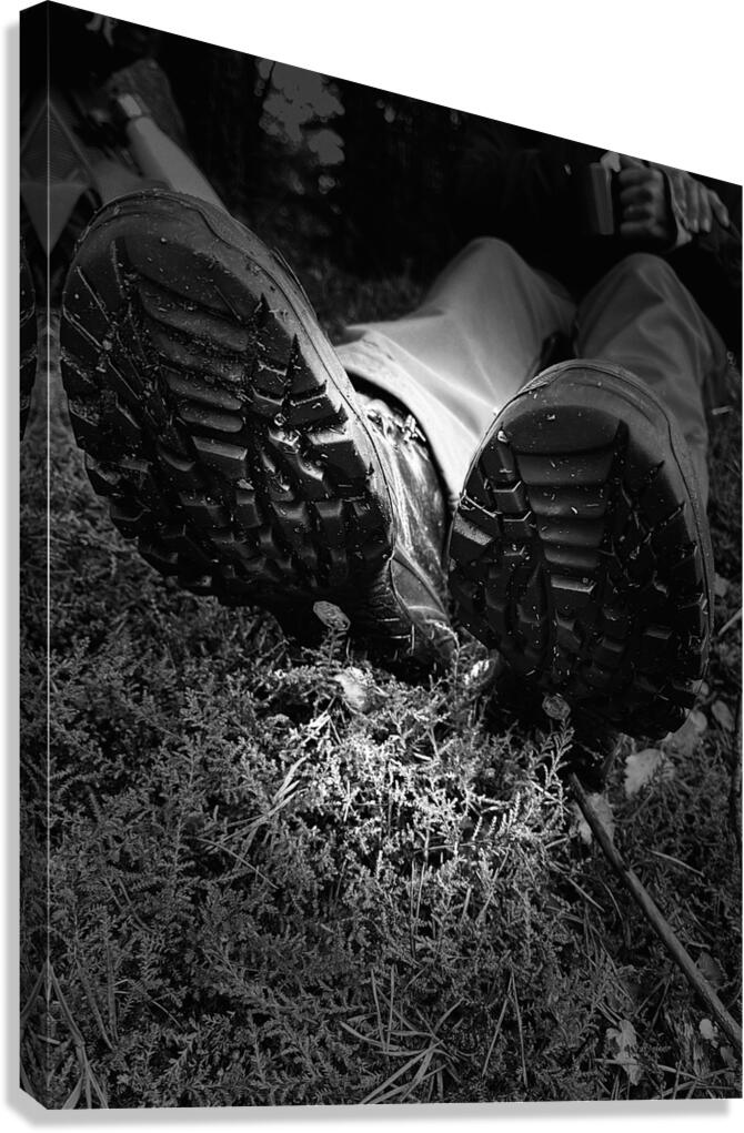 Scenes from the Trail- Resting Too Canvas Print