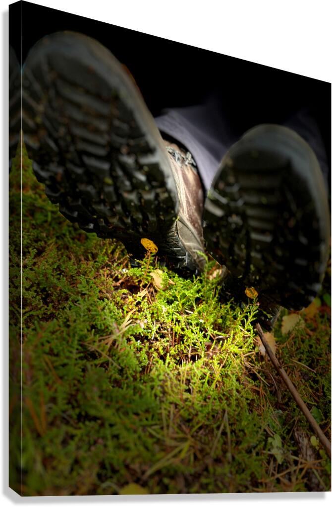 Scenes from the Trail- Rest Canvas Print