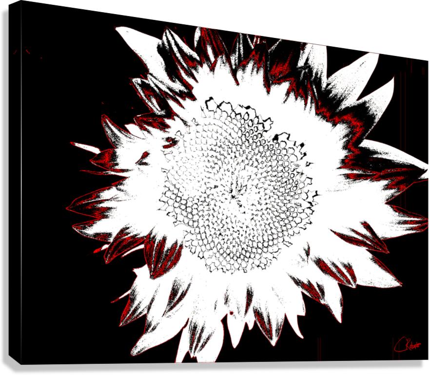 Abstract Contrasting Sunflower Canvas Print