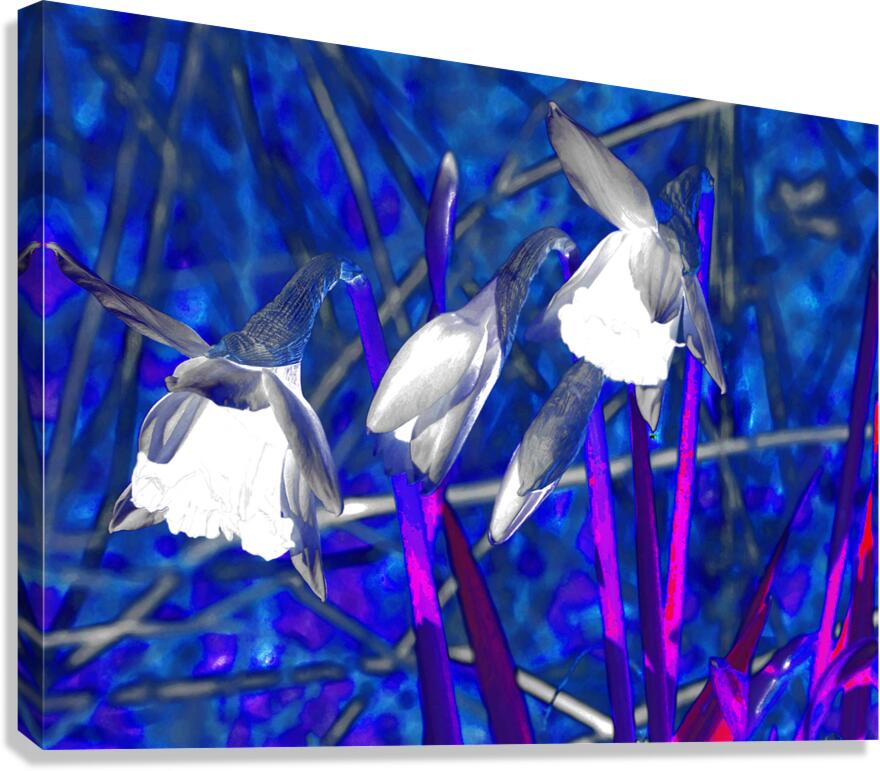 Abstract Psychedelic Daffodils                                                                                                                      Canvas Print