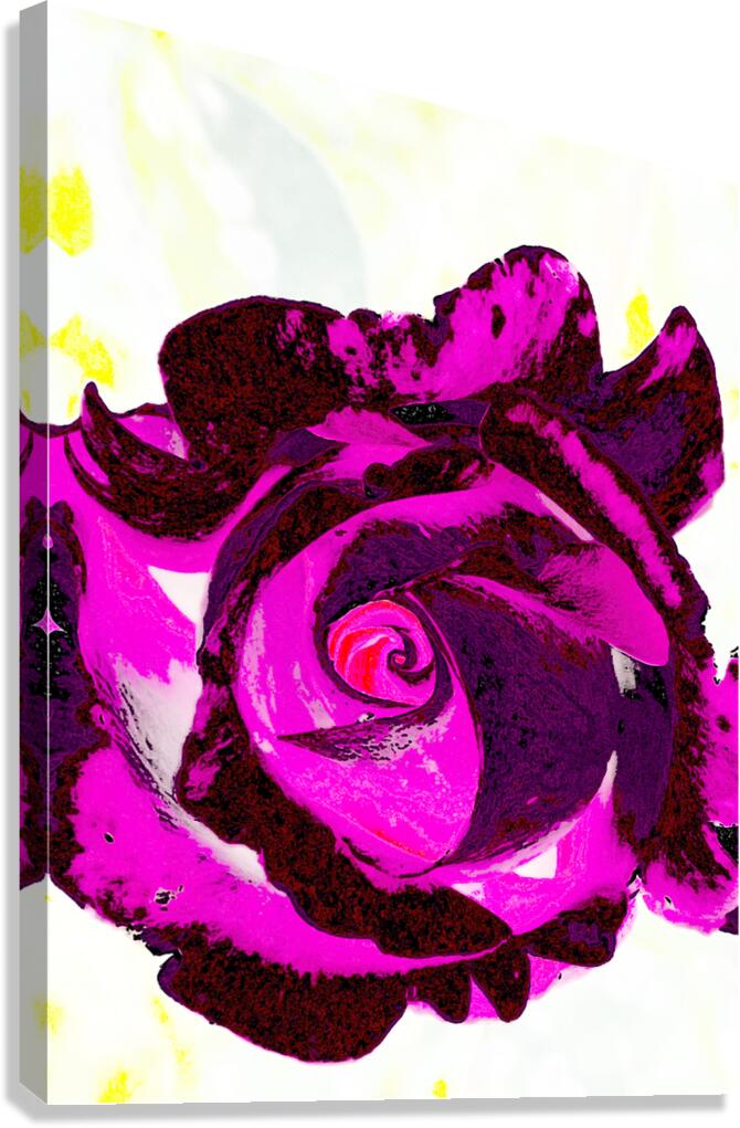 Abstract Pink and Purple Rose Canvas Print