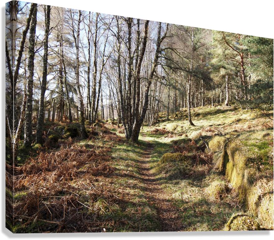 Early April in the Scottish Highlands                                                                                                                   Canvas Print