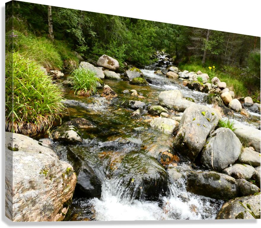 Summer River in the Scottish Highlands Canvas Print