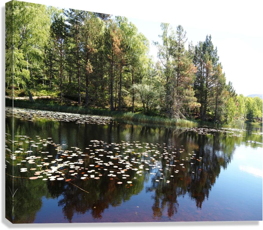  Lily Lochan In The Scottish Highlands                                                                                                                     Canvas Print