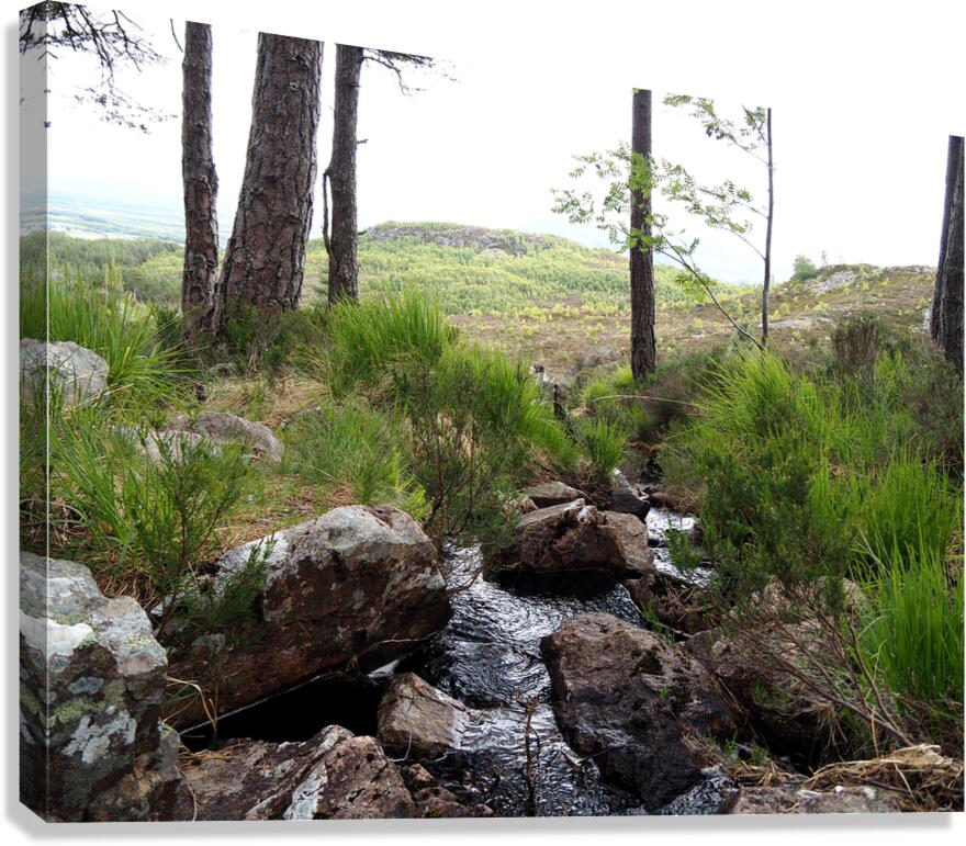  The Burn in the Scottish Highlands                                                                                                                     Canvas Print
