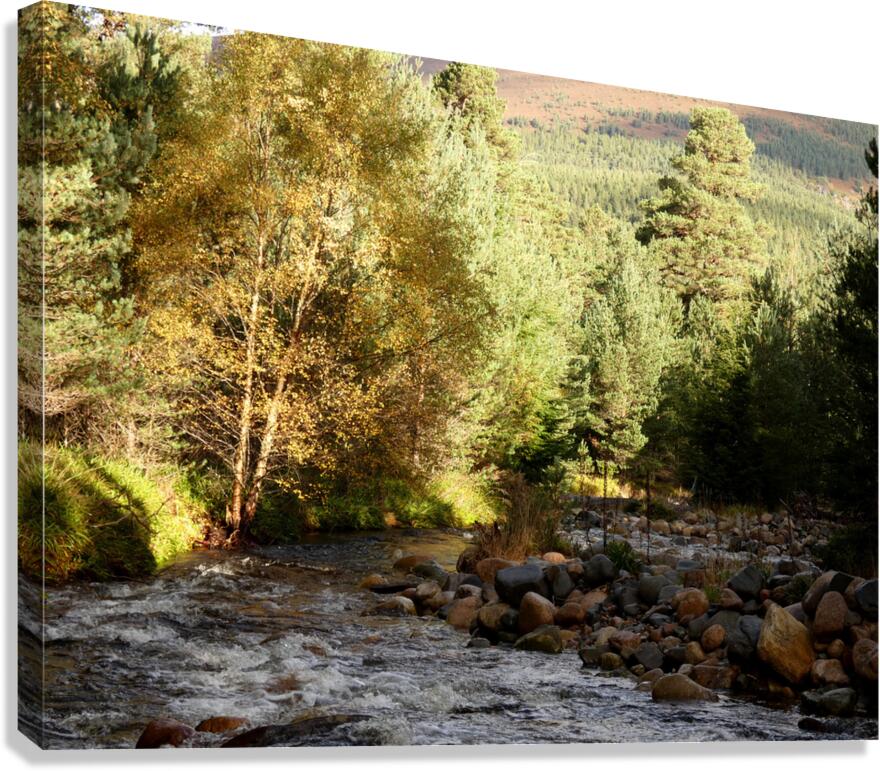 Autumns River in the Scottish Highlands Canvas Print