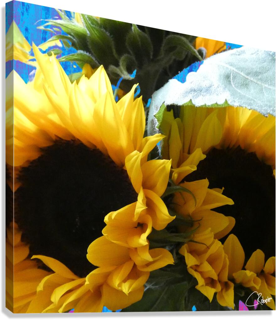 Vibrant Summer Sunflowers Canvas Print