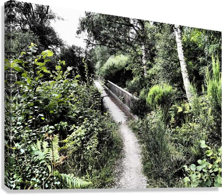  Summers Bridge through the Scottish Highlands                                                                                                                     Canvas Print
