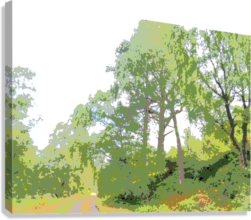 Abstract Forest in the Scottish Highlands                                                                                                                       Canvas Print