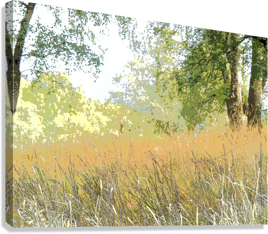 Summers Delight in the Scottish Highlands                                                                                                                      Canvas Print