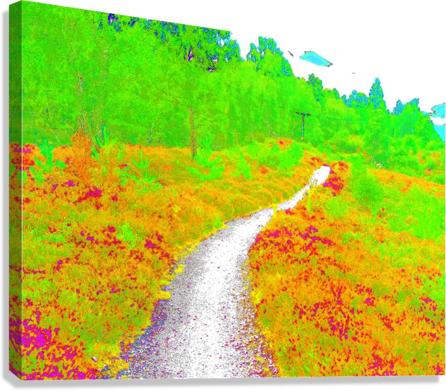  Surreal Nature Path through the Scottish Highlands                                                                                                                     Canvas Print