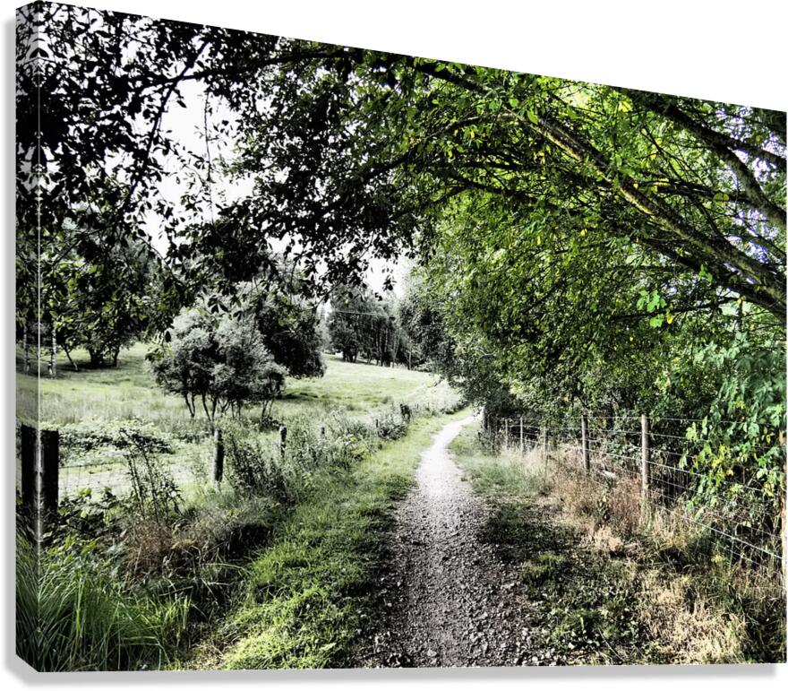  Natures Summer Path through the Scottish Highlands                                                                                                                     Canvas Print