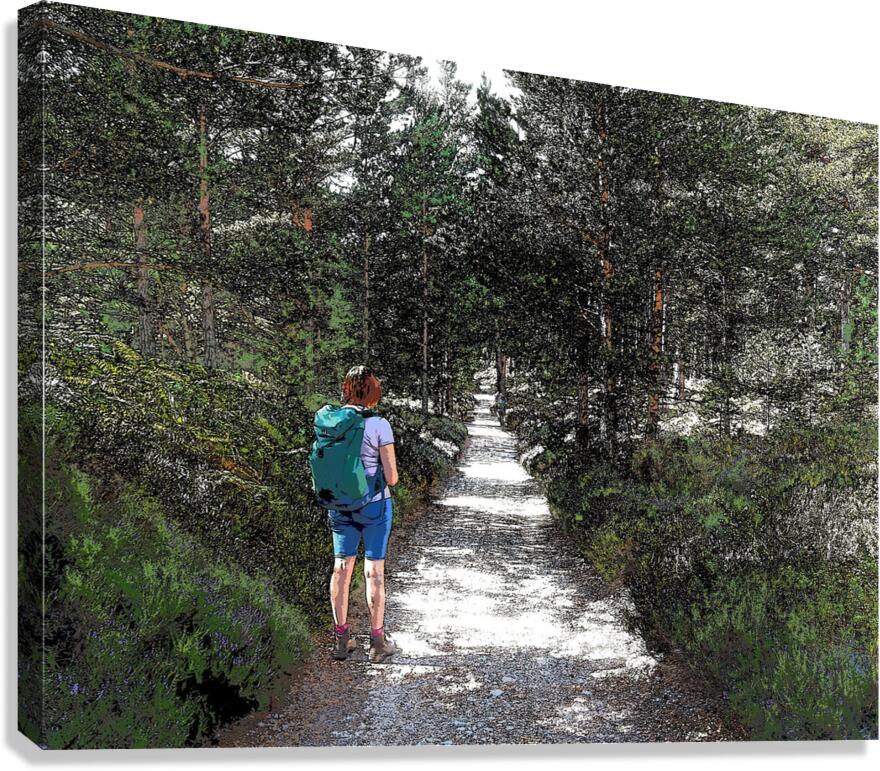  Trail Walking in the Scottish Highlands                                                                                                      Canvas Print