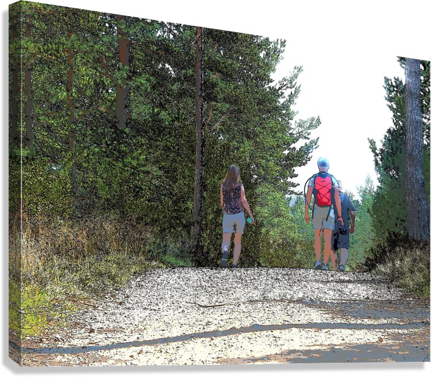  Walking the Forest Trails in the Scottish Highlands                                                                                                                     Canvas Print