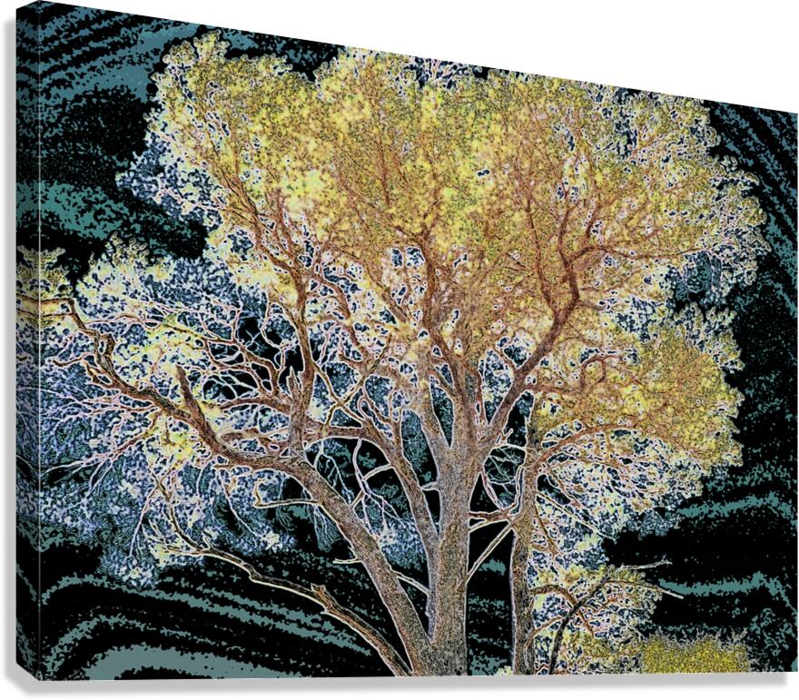  Abstract Vibrant Pine                                                                                                                     Canvas Print