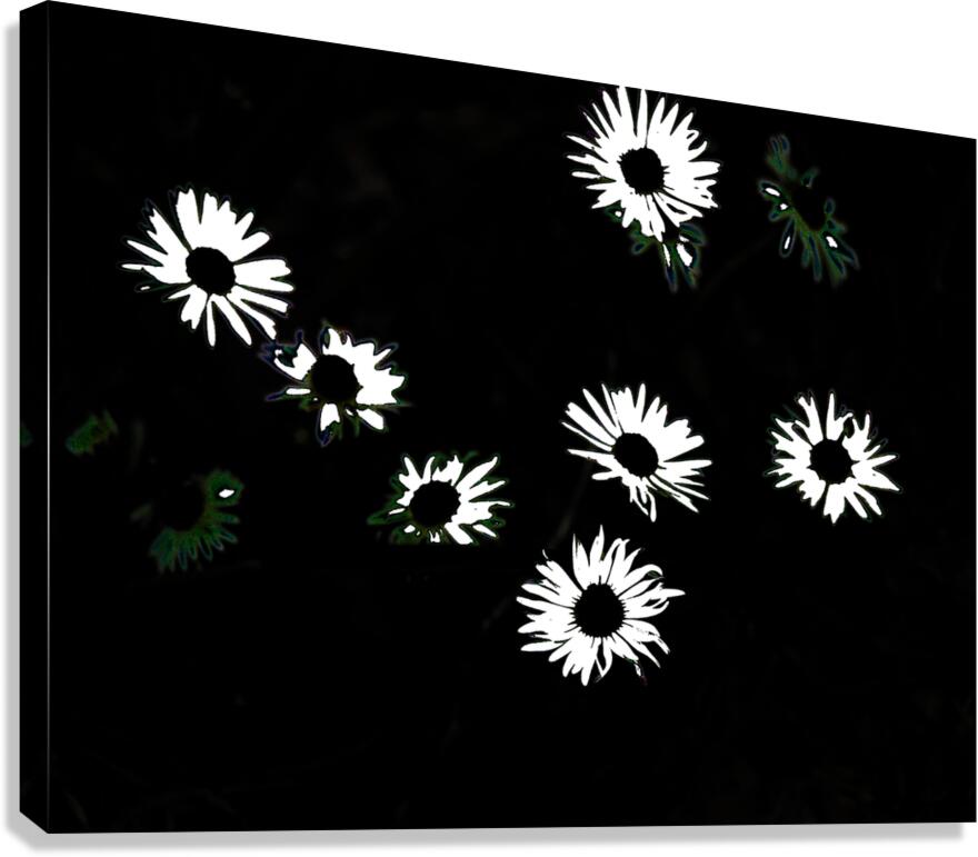  Monochrome Night Blooms                                                                                                                     Canvas Print