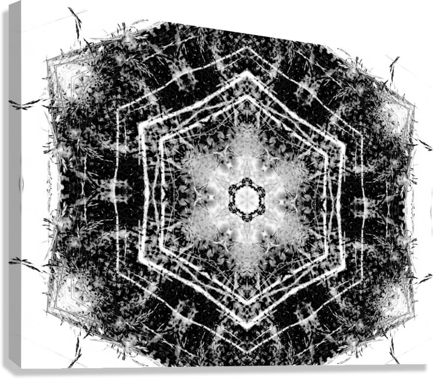 Abstract Black and White Long Grass  Canvas Print