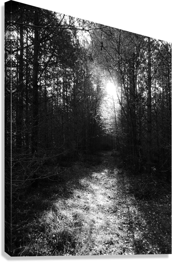  Autumns Suns Dark Kiss for the Scottish Highlands Canvas Print