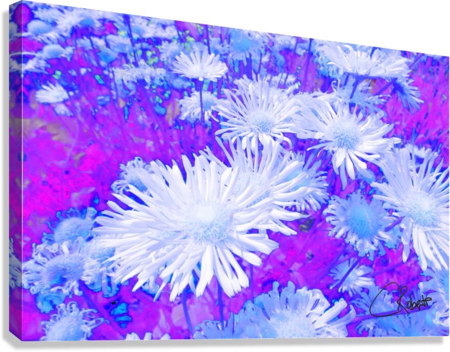 Summer Inverted Yellow Daises  Canvas Print