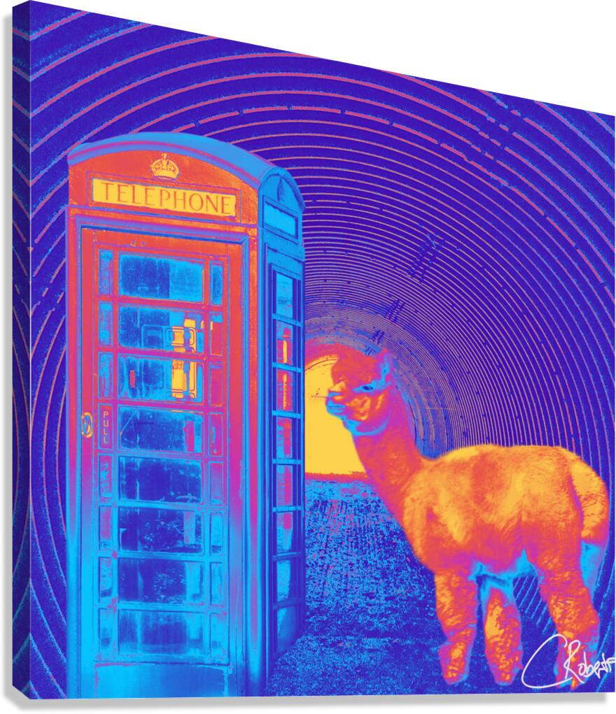 Tunnel Phone Box Lama and Randomness in the Scottish Highlands  Canvas Print