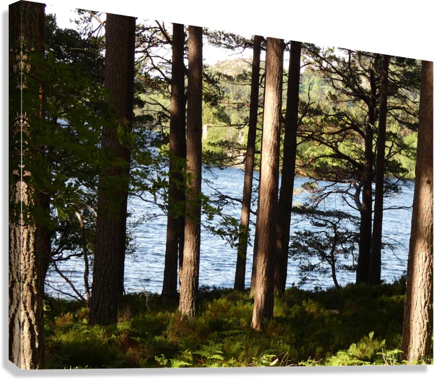  Lochside View  Canvas Print