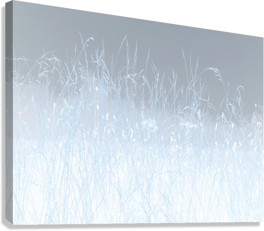  Abstract Linear Inverted Long Grass In the Mist Canvas Print