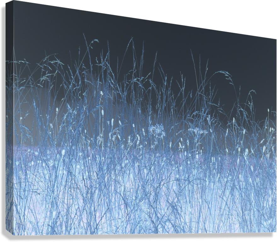  Autumnal Inverted Long Grass in the Mist Canvas Print