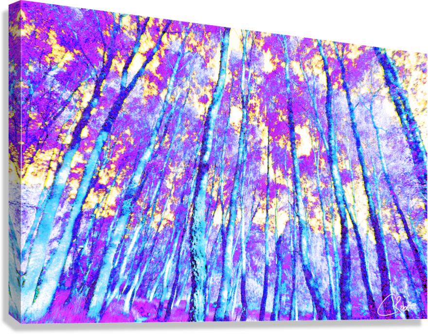  Vibrant Birch Tree Glory in the Scottish Highlands Canvas Print