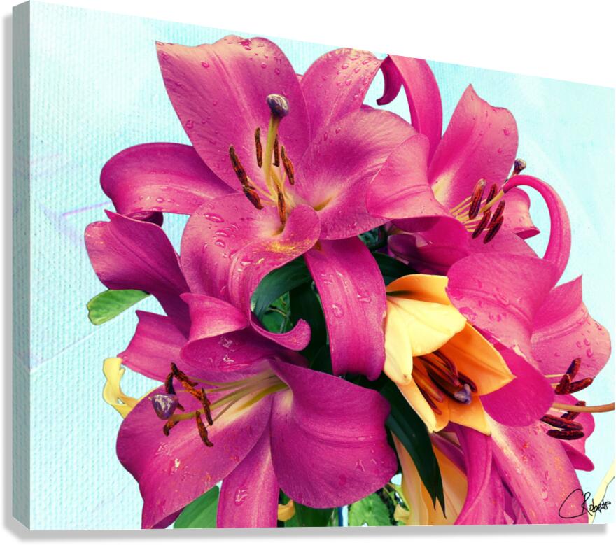  Vibrant lilies Canvas Print