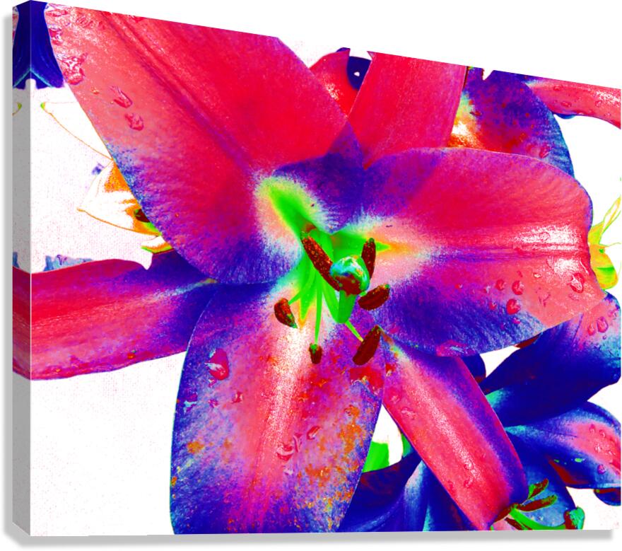Vibrant Pop Art Lilies Canvas Print