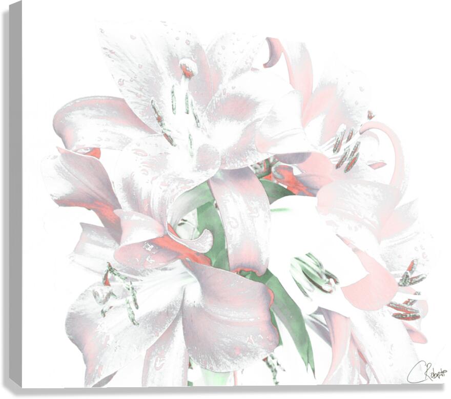 Subtle Poster Lilies Canvas Print