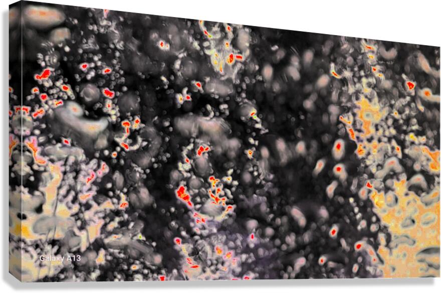  Dark and Red Tree through a Rain Streaked Window Canvas Print