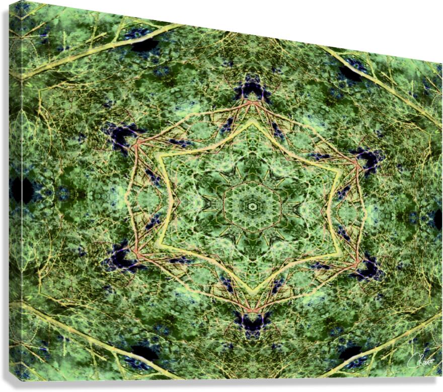 Inverted Pine Tree from Below Canvas Print