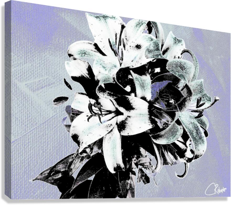 Greys and Blacks Poster Lilies Pop Art Canvas Print