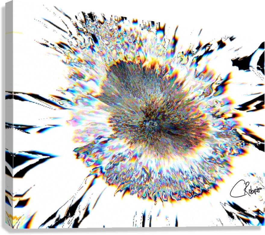 Pale Smeared Sunflower in Monochrome Canvas Print