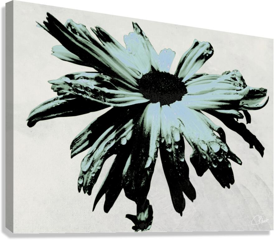 Dark Lime Daisy Flower on an Abstract Pale Background Canvas Print