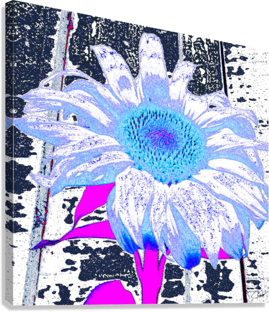 Sunflower in Digital Art Canvas Print