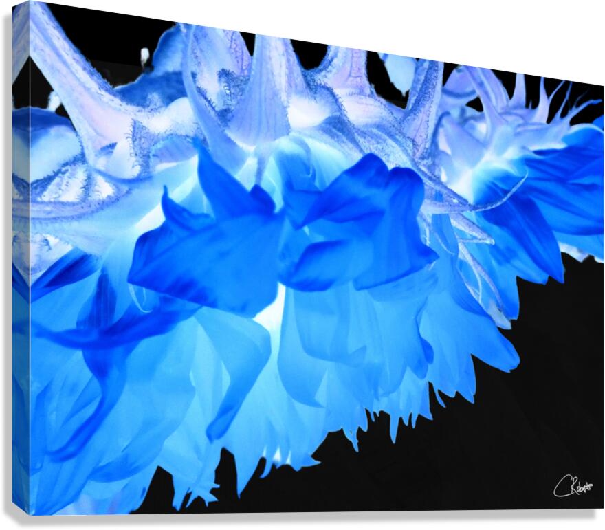  Blue Sunflowers Edge Canvas Print