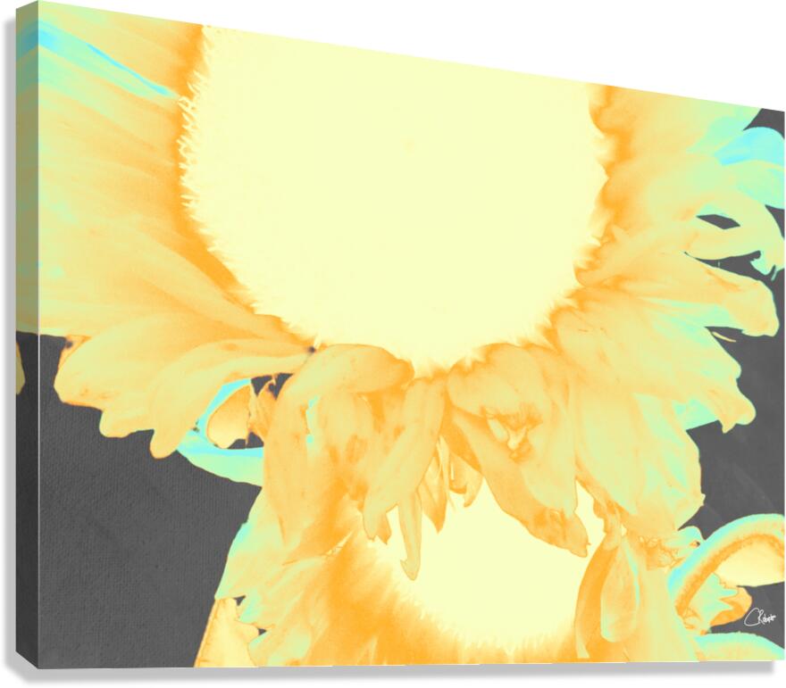  Neon Orange Sunflowers Two in Heatwave Canvas Print