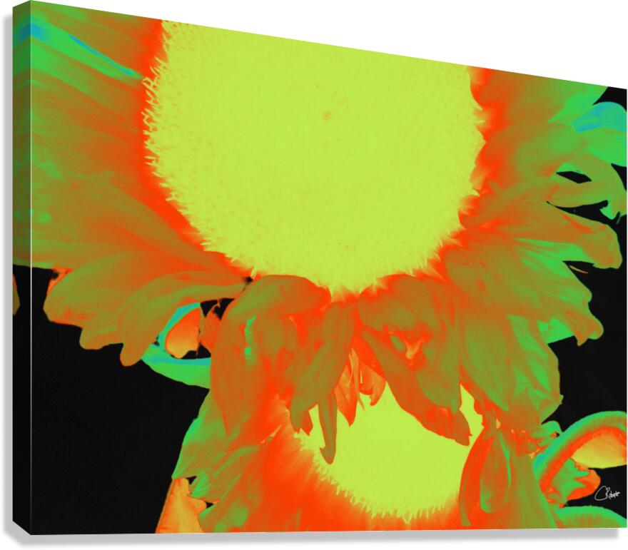   Neon Sunflowers Two in Heatwave Canvas Print