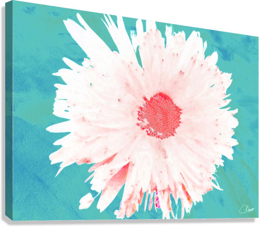 Pink Daisy on a Green  Abstract Background  Canvas Print