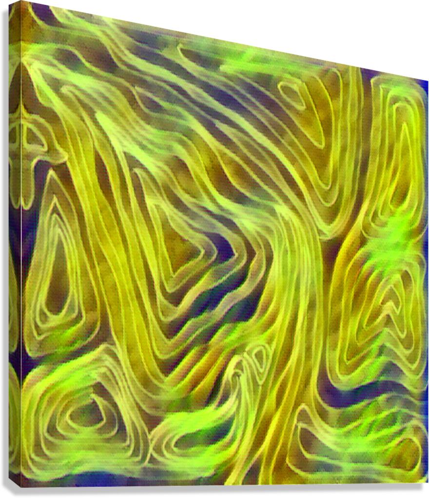 Abstract Ethereal Lined Shapes  Canvas Print