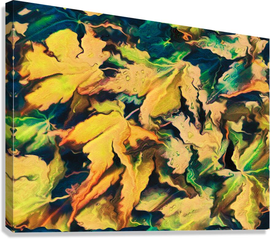Abstract Acer Autumnal Leaves Canvas Print