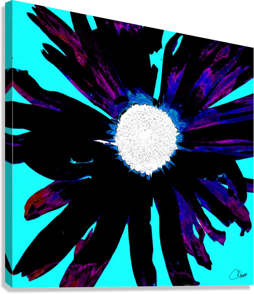 Daisy Flower on Vibrant Turquoise Background Canvas Print